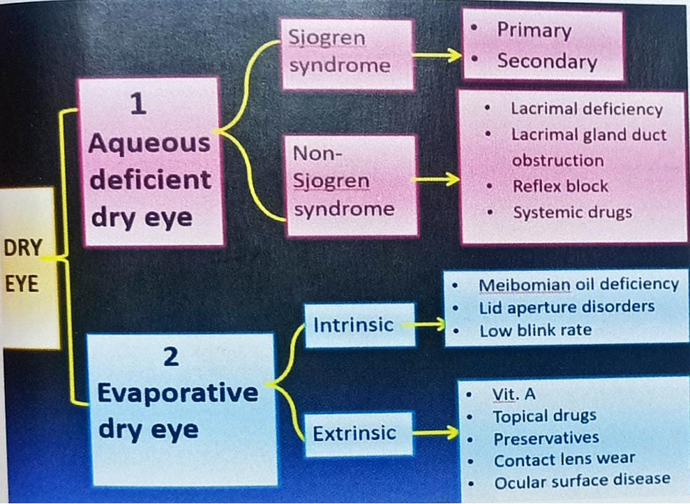 DRY EYE MANAGEMENT IN A BRIEF